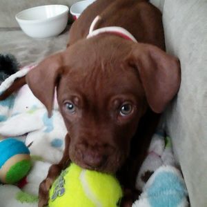 Meet your Posher, Carl